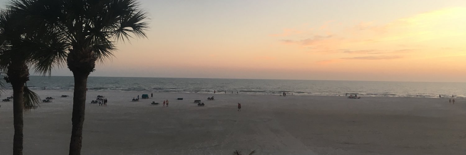 The PSU J Lion banner