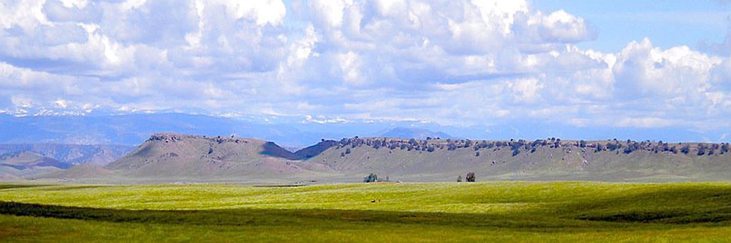 ECORPConsulting's profile banner image