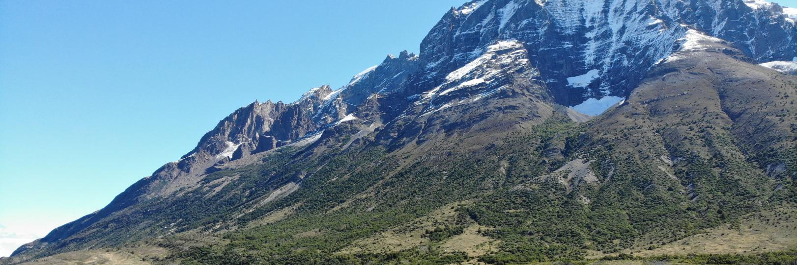 Christian Genco banner