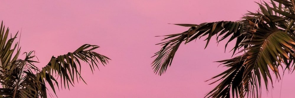 lisacfergz's profile banner image
