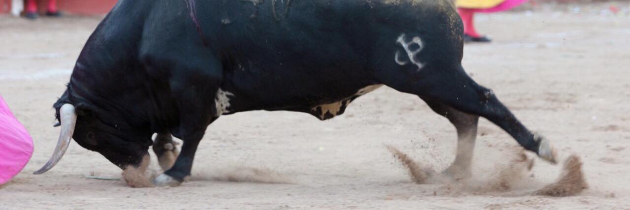 Julio Uribe Barroso banner