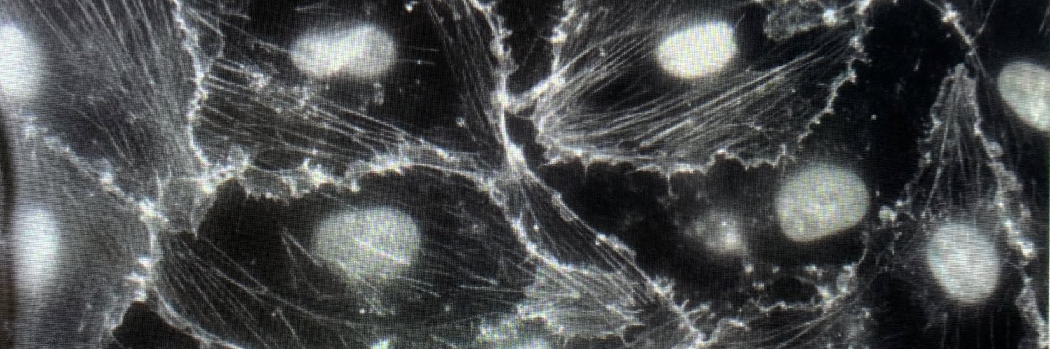 SergioDM_11's profile banner image