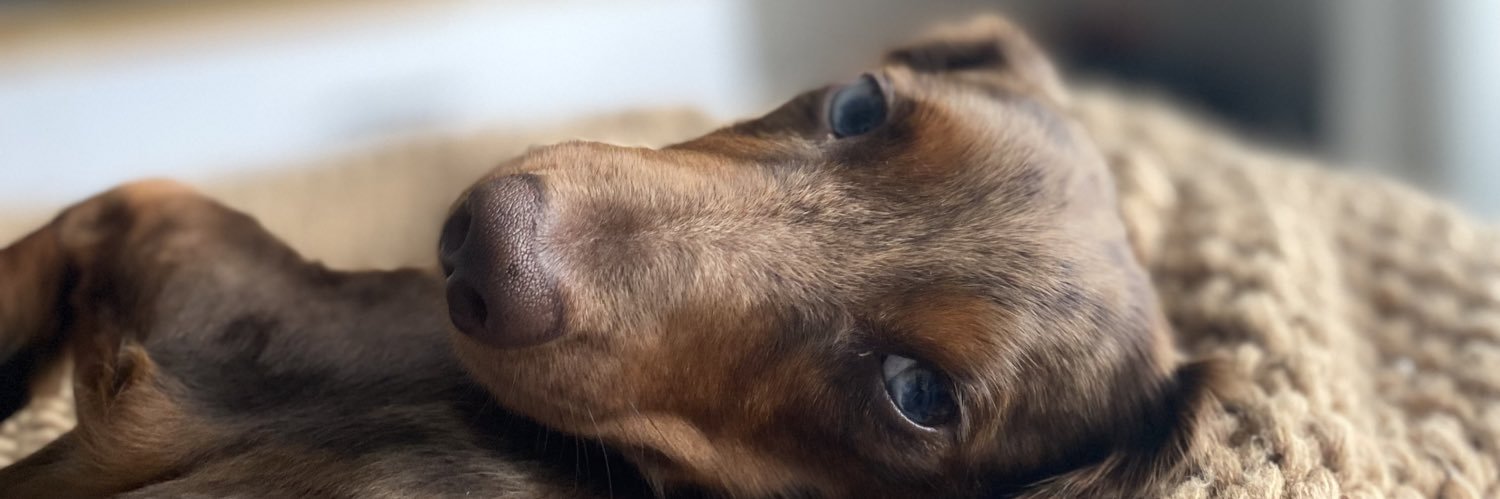 KaylaWorden3's profile banner image