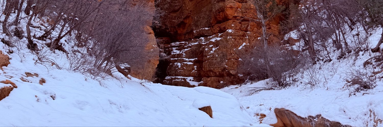 TheIcebox2000's profile banner image