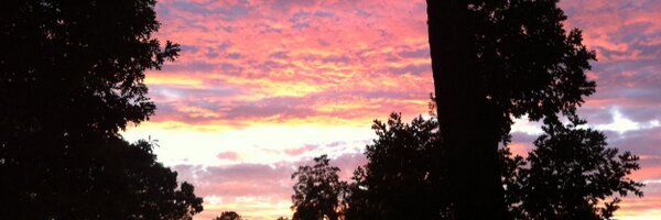 JustaTreekeeper Profile Banner