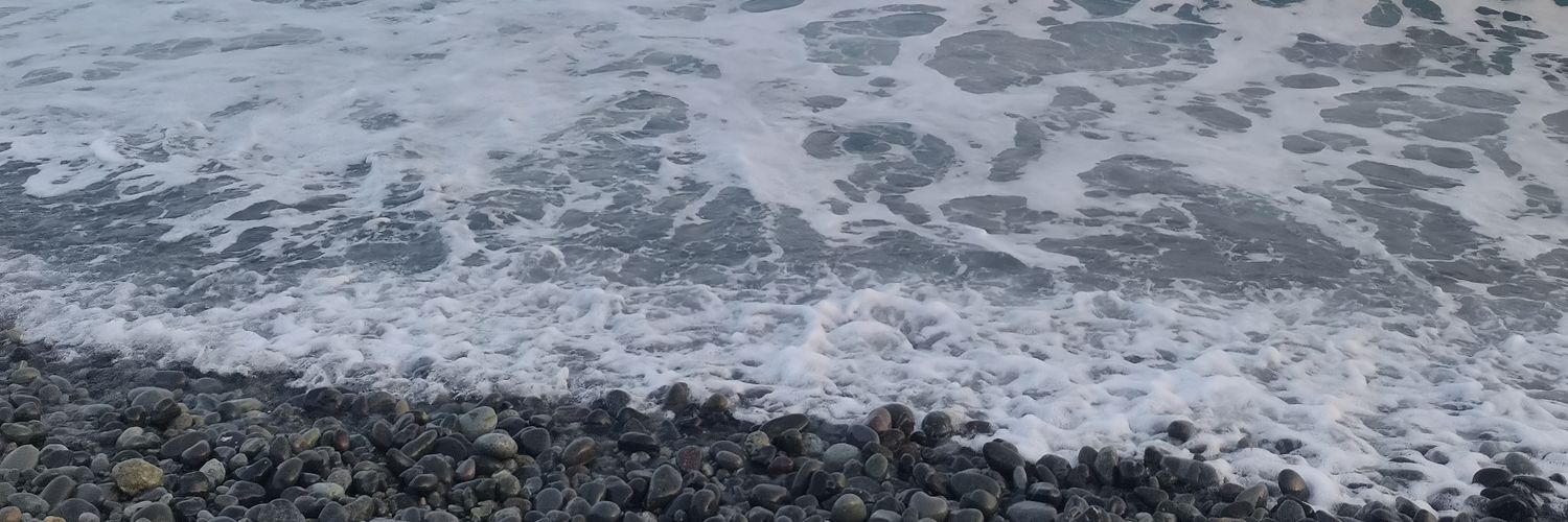 alllymol's profile banner image