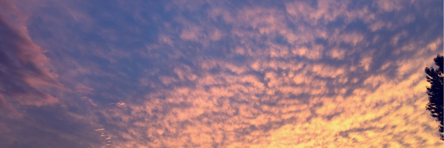 BabbsOhsnap's profile banner image