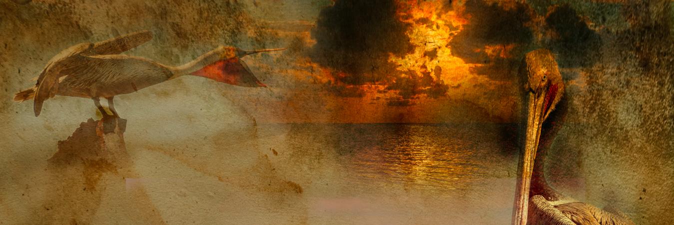 AlanRepech's profile banner image