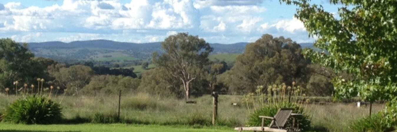 Cath Thompson banner