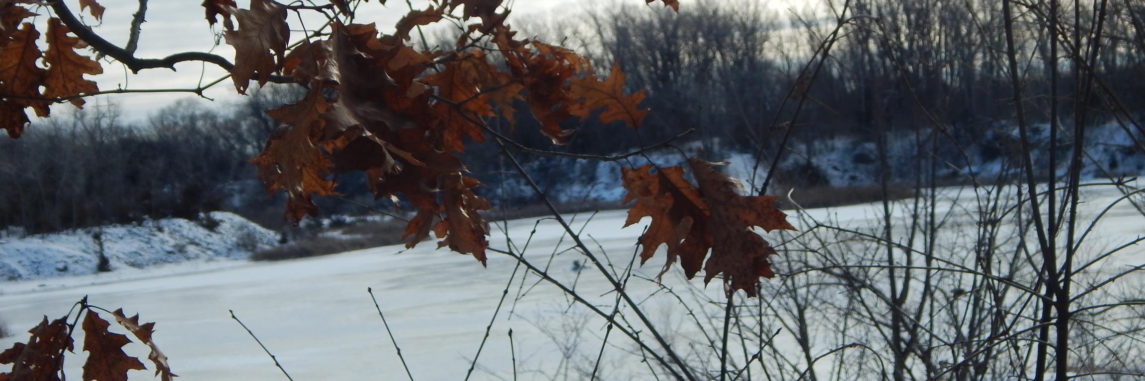 sc_HOTT's profile banner image