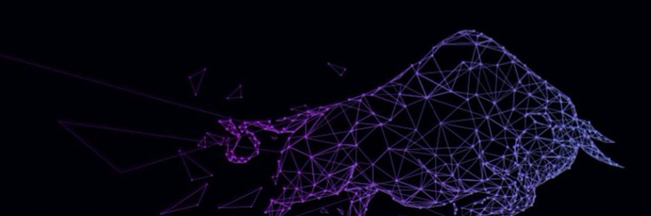 WALL STREET HUNTERS banner