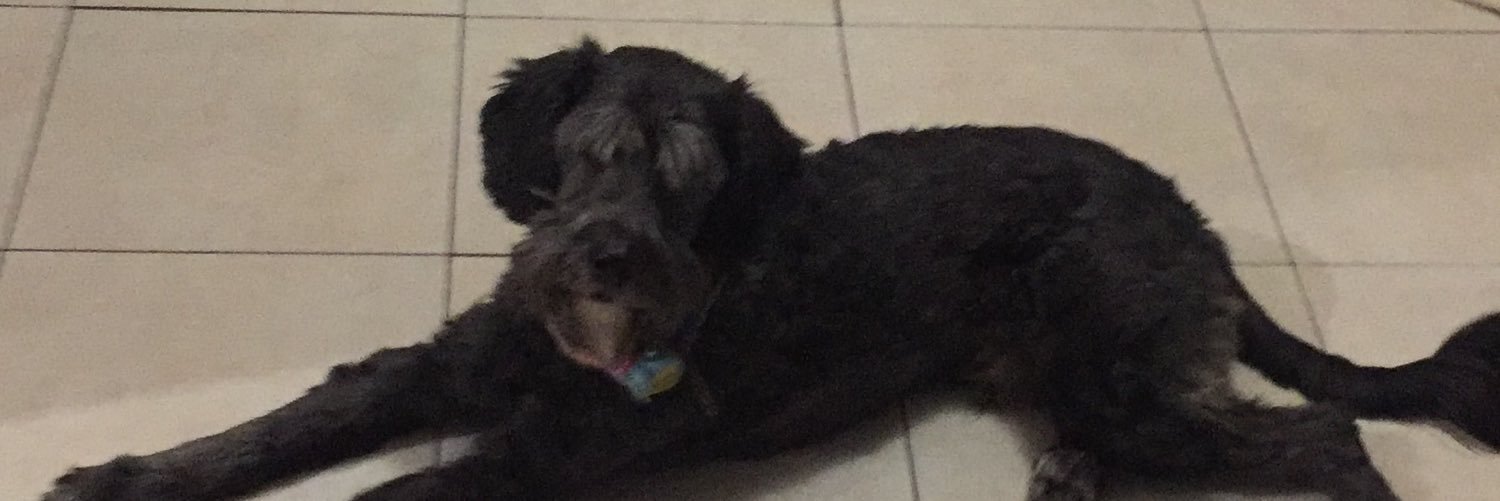 Gaycel_Claudia's profile banner image