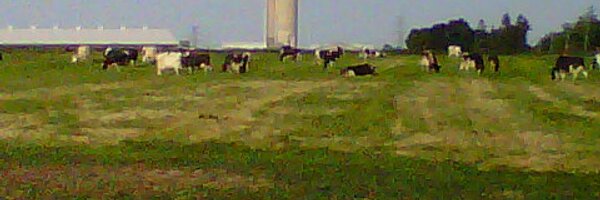 Johnvanbergeijk Profile Banner