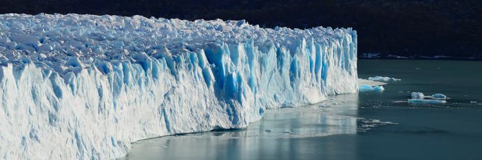 Eugene Ellmen banner