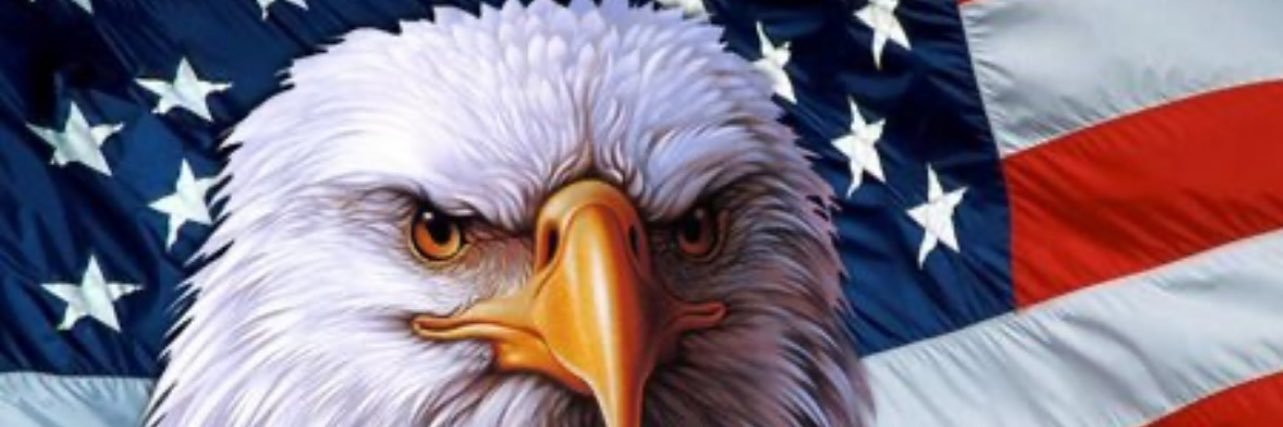 ShawnHaning's profile banner image