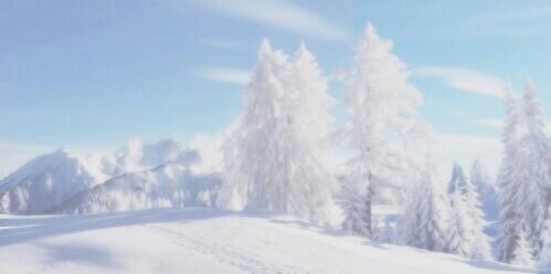 wangmyun's profile banner image