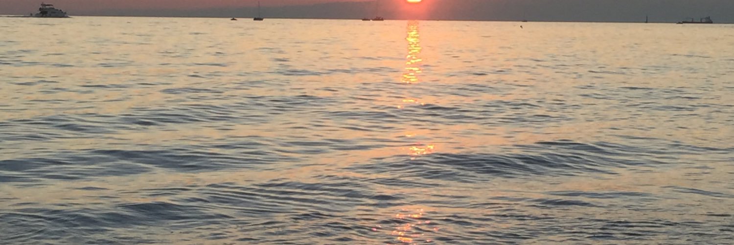 marinaredaell's profile banner image