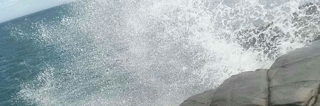 Aria__on's profile banner image
