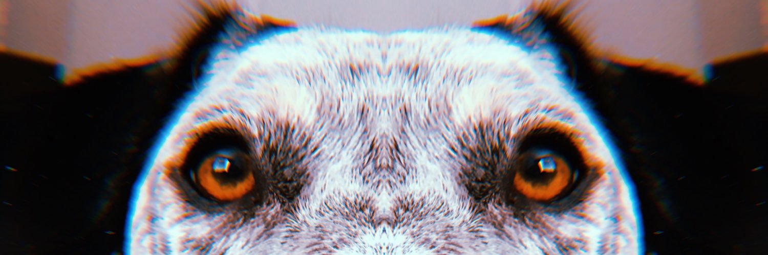Daboss1313's profile banner image