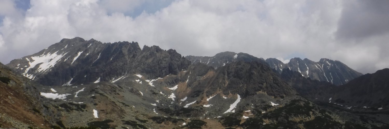 Cristoffer Berg banner