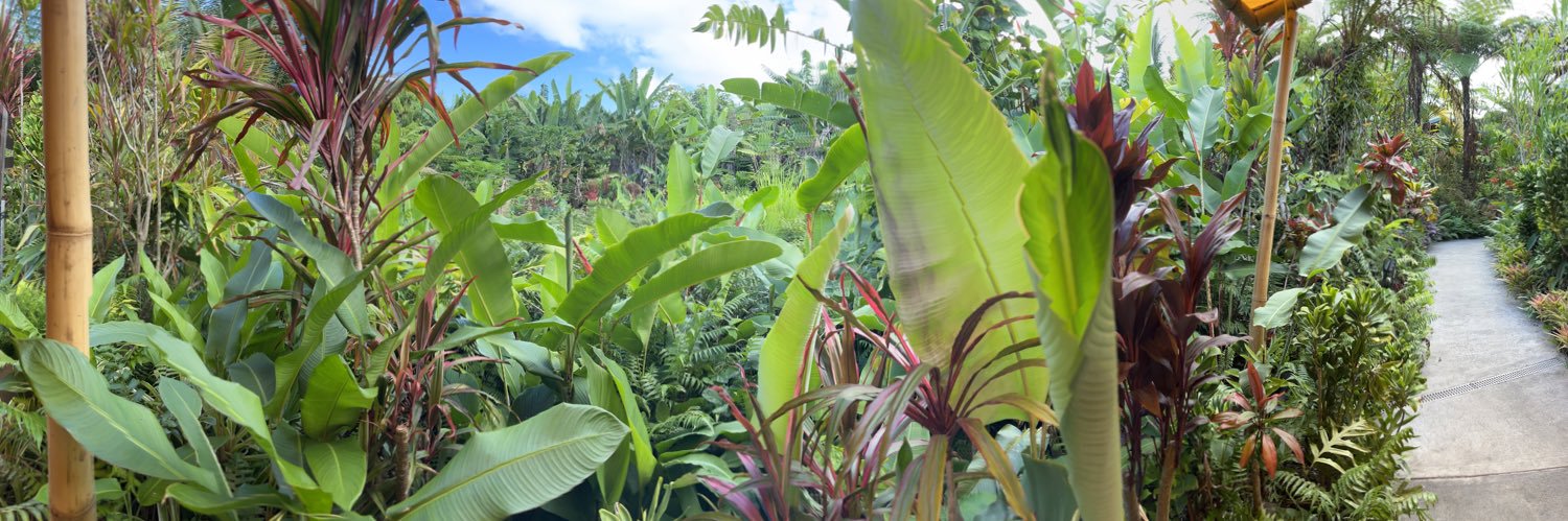 PRforplants's profile banner image