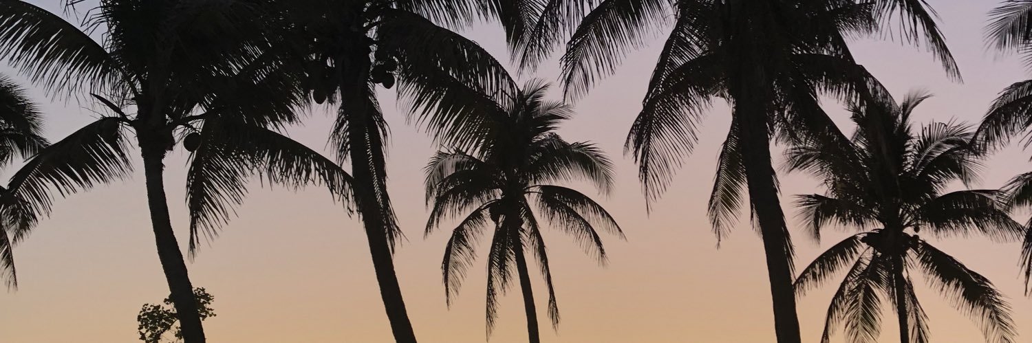 KalleyRustad's profile banner image