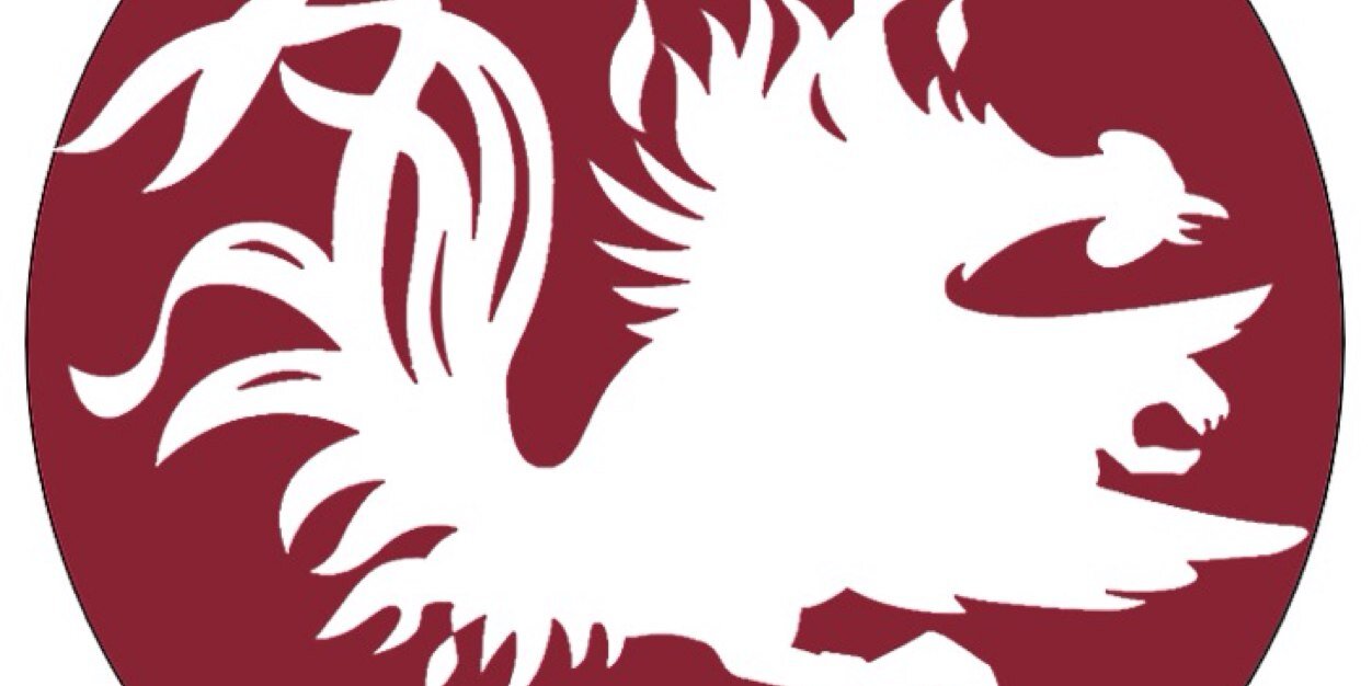 Shelltoot's profile banner image