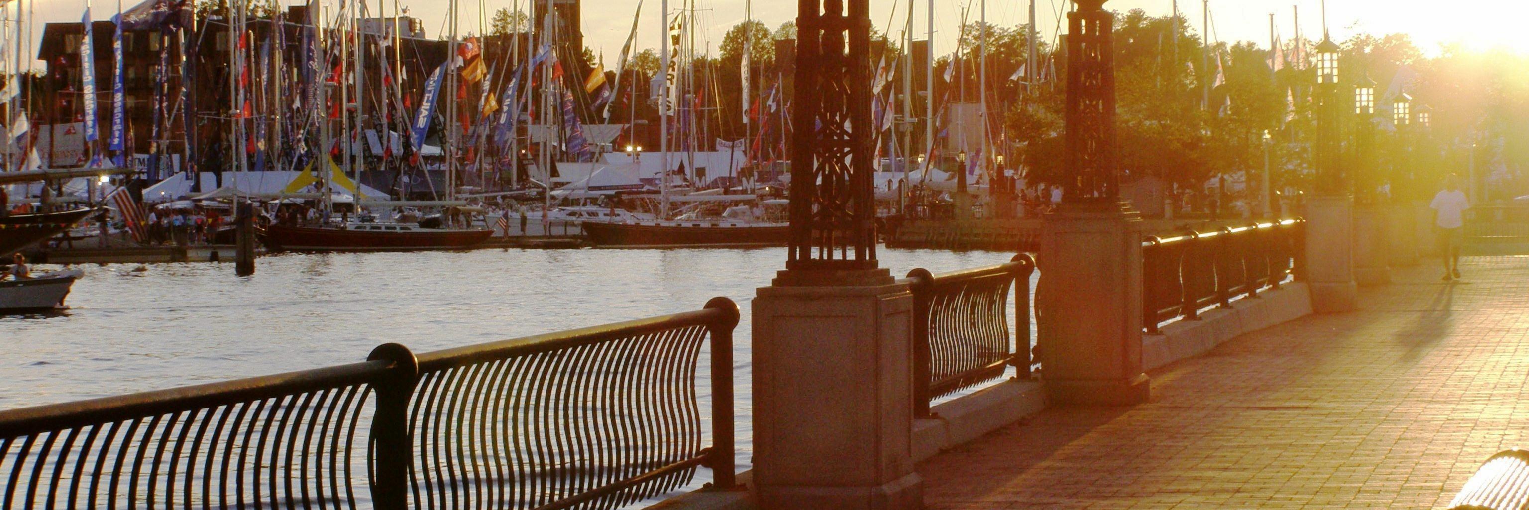lat38annapolis's profile banner image
