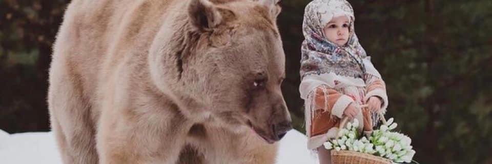 viann15's profile banner image