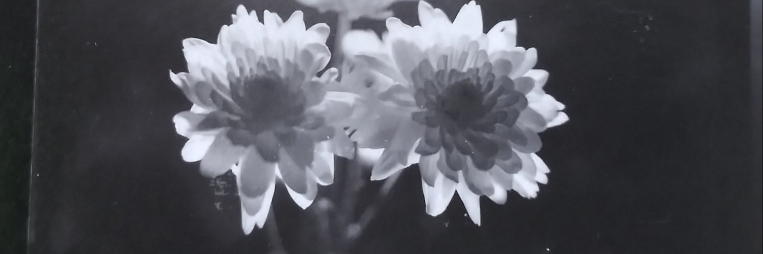 Karen Miller 🌴🌊 banner