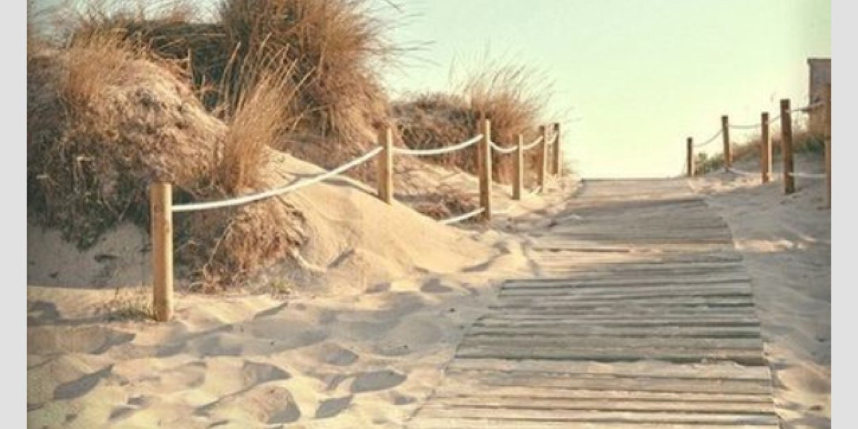 KnRetallack's profile banner image