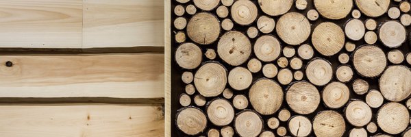 trippslt Profile Banner