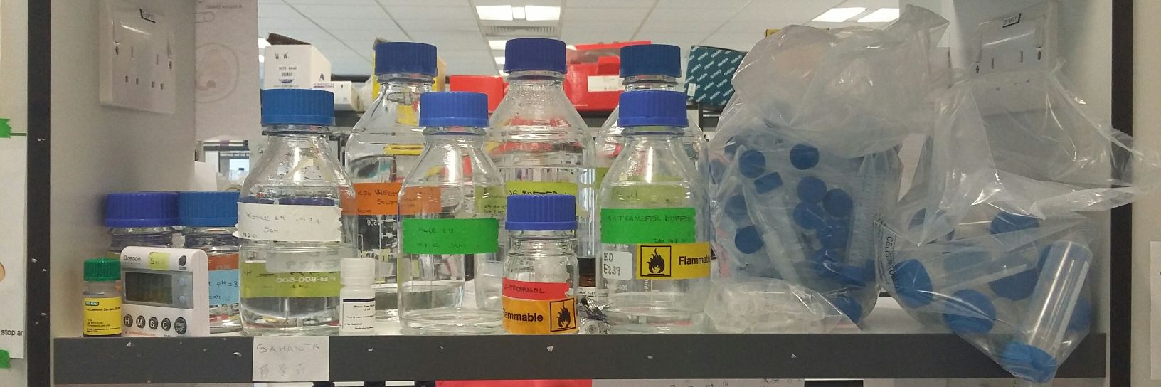 Samanta A. Mariani banner