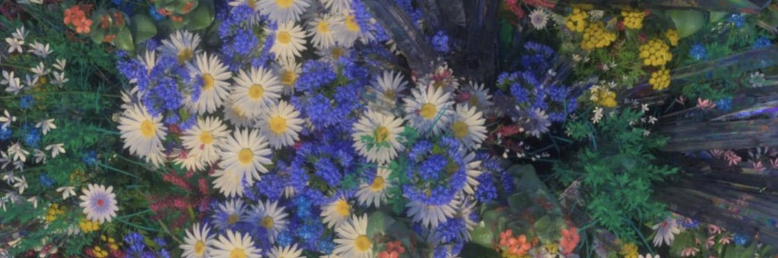 OhhHannahh's profile banner image