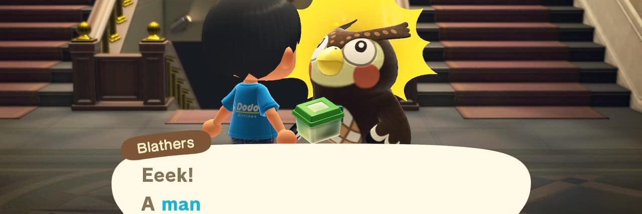 KTCasapao's profile banner image