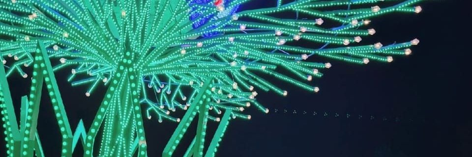 Lalycindymr's profile banner image