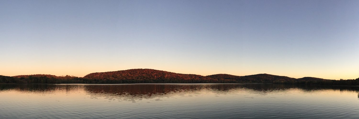 Mordechai Levi banner