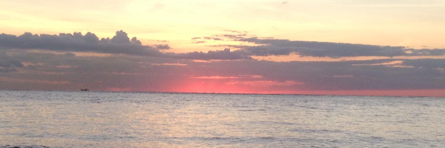 ItzelTrejo's profile banner image