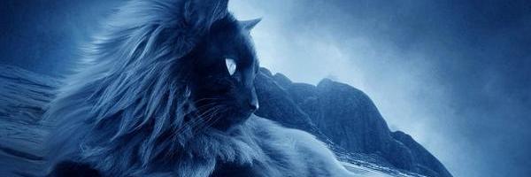 eryleck Profile Banner