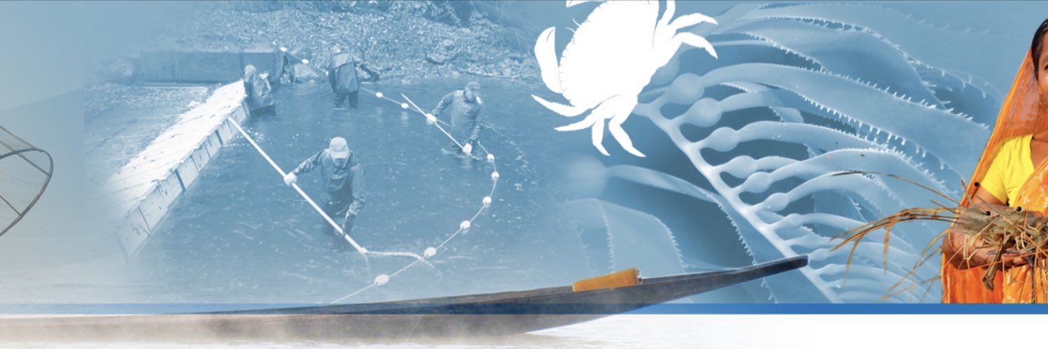 gcmair's profile banner image