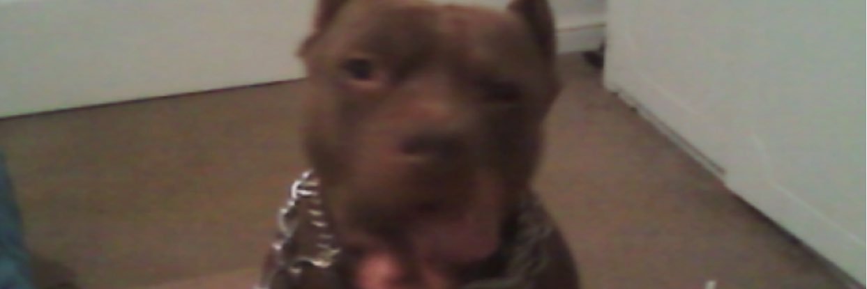 king_Dabo's profile banner image