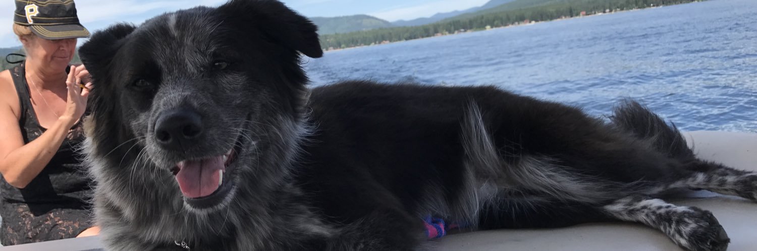 lexm_howard's profile banner image