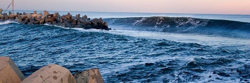 Stephanie Petit banner