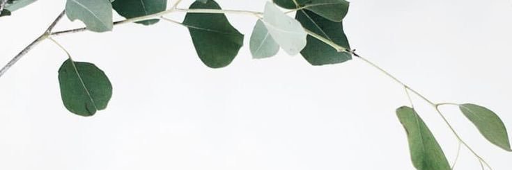 ColleenSelf's profile banner image