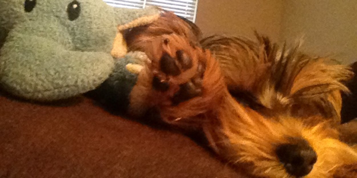 Jack Briggeman banner