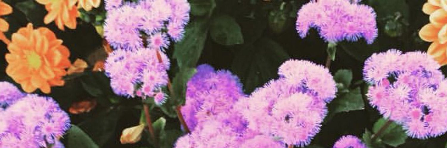 charaexo's profile banner image