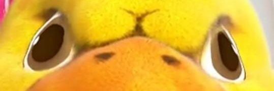 canarinhoaprova's profile banner image