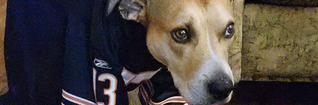 FeelGoodWill's profile banner image