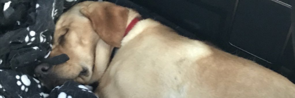 Jwallock33's profile banner image