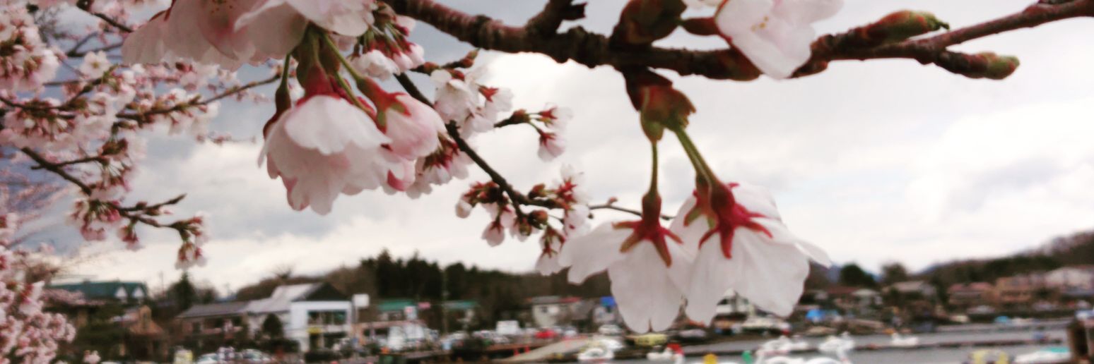 正しく生きる、豊かに生きる banner